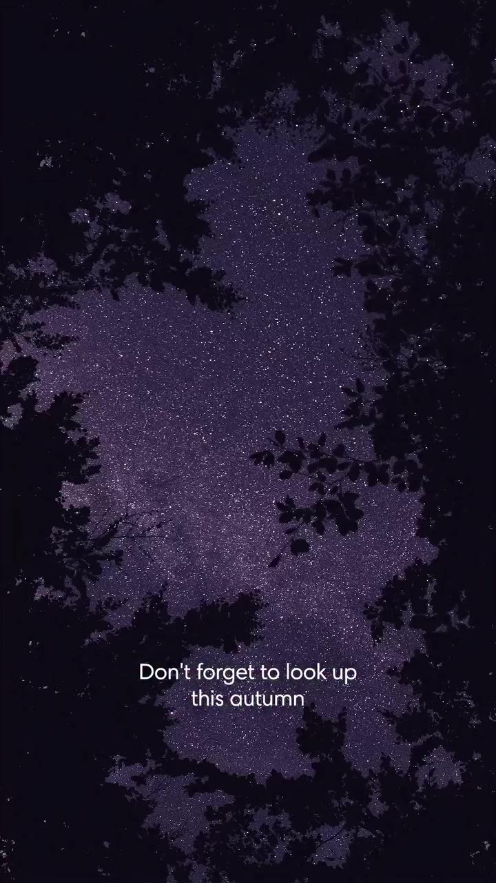 Don’t forget to look up this autumn Come with us as we follow the moon …