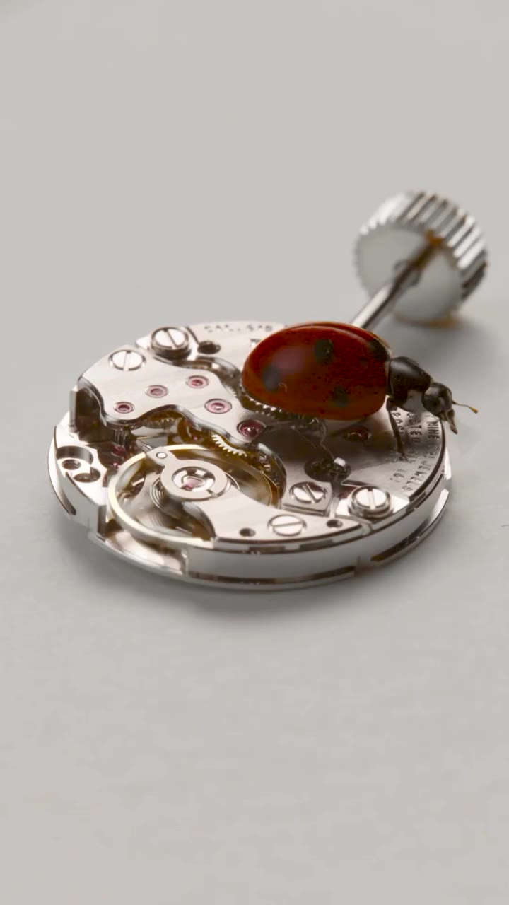 Mesmerizing stuff from Blancpain made even more impressive when you consider…