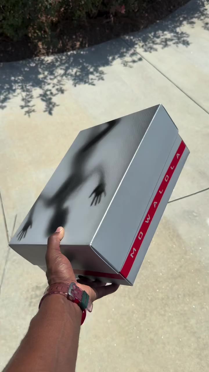 You did ya big one @mowalola !! Early Look at The Mowalola Jordan 14’s 😮‍💨