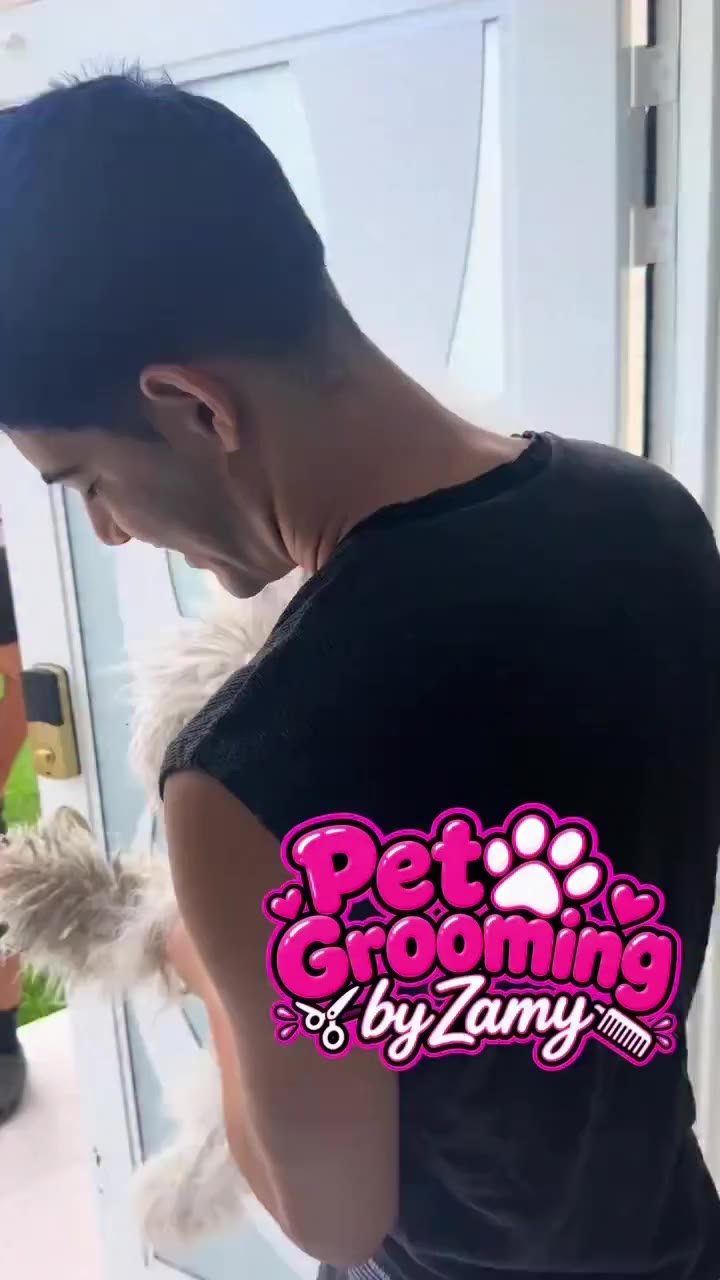 Ahora con Página Web 🐾🦮 @petgroomingbyzamy Siempre Presente ! Ahora más…