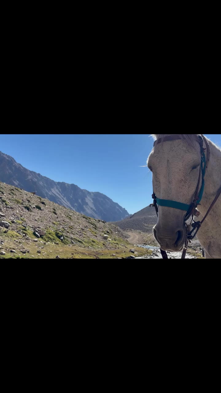 🏔️🇦🇷 Los paisajes que atrapan la mirada y el agua recién nacida del vientre…