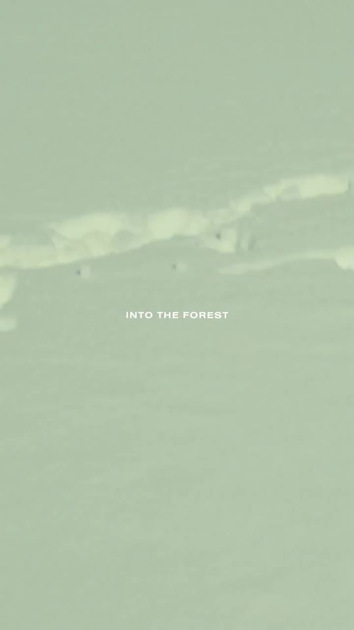 Explore the creative vision behind “Into the Forest”, the ultimate Weekend Max…