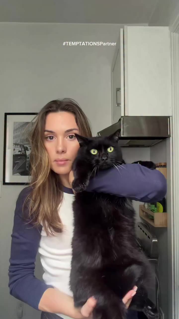 #TEMPTATIONSPartner Is your cat from New York even?!! @temptationscats opened…