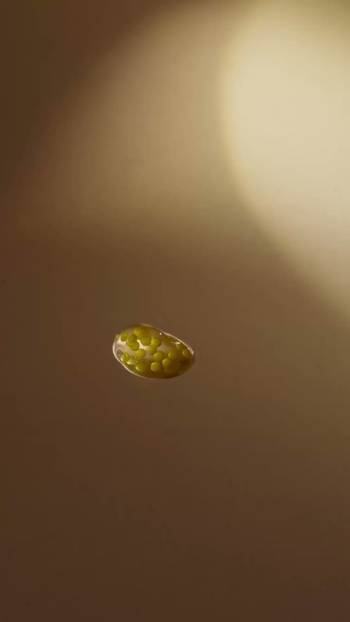 Dreamy textures, real results. Having a bit of fun with our Immortelle…