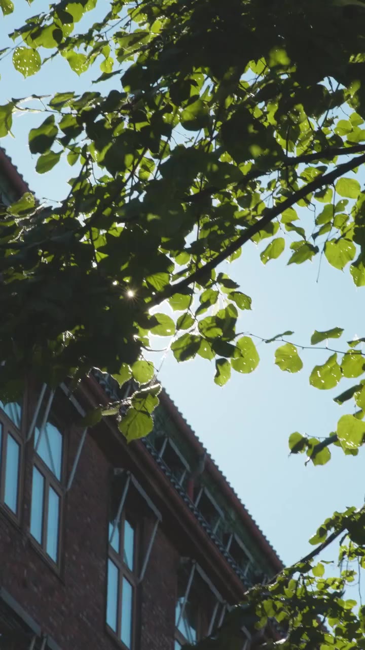 “There are no rules when it comes to style in Oslo.” For @tineandreaa, who…