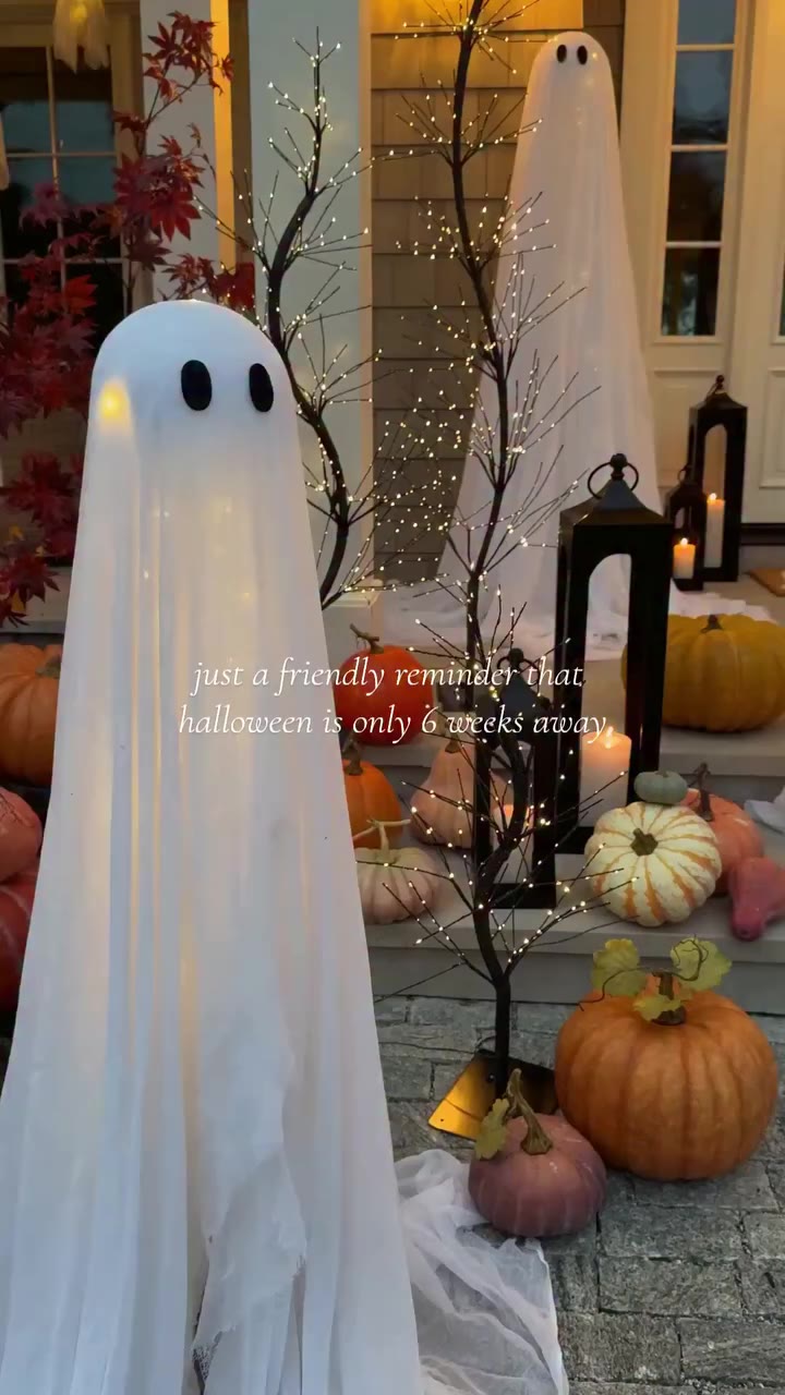 Halloween is approaching scary fast 🎃 With only 6 weeks to go, it’s time to…