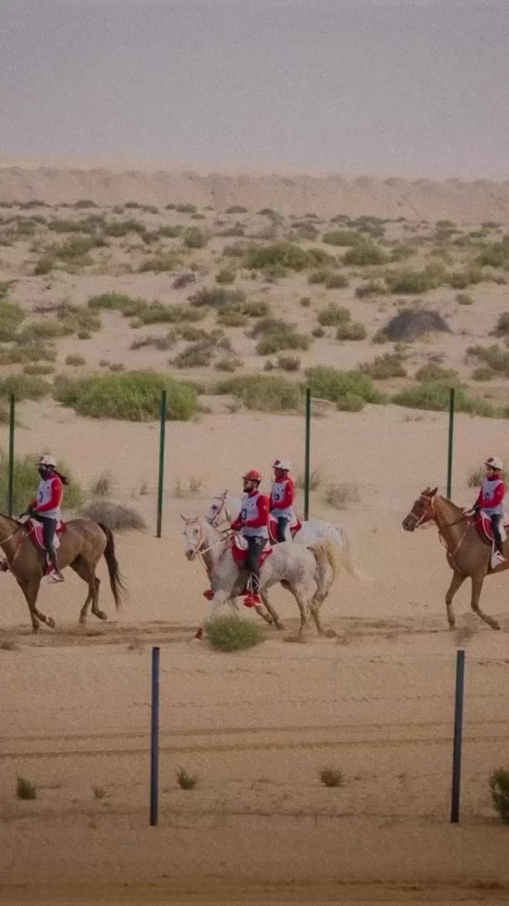 There’s a problem with starting a horse race in the desert. Europe had…
