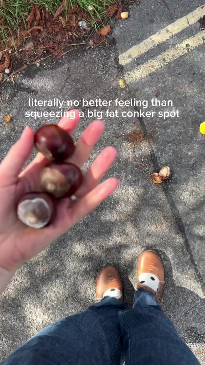 ITS AUTUMN I LOVE CONKERS XXXXXX