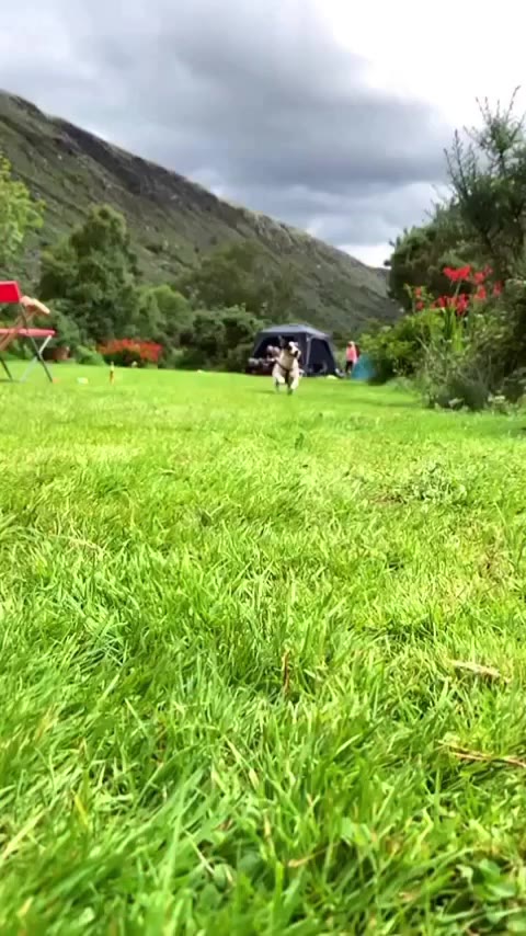 Slow mo Nancy !