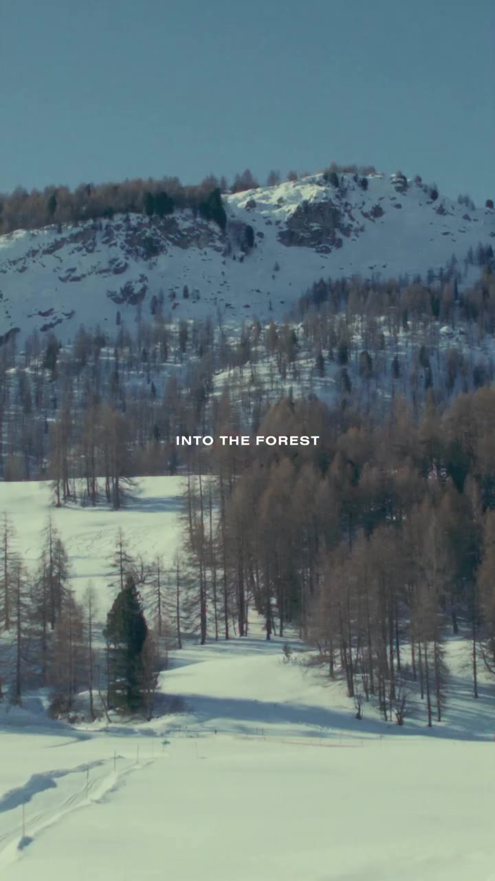 Unfolding Into the Forest: the new FW26 Signature Collection co-created with⁠…