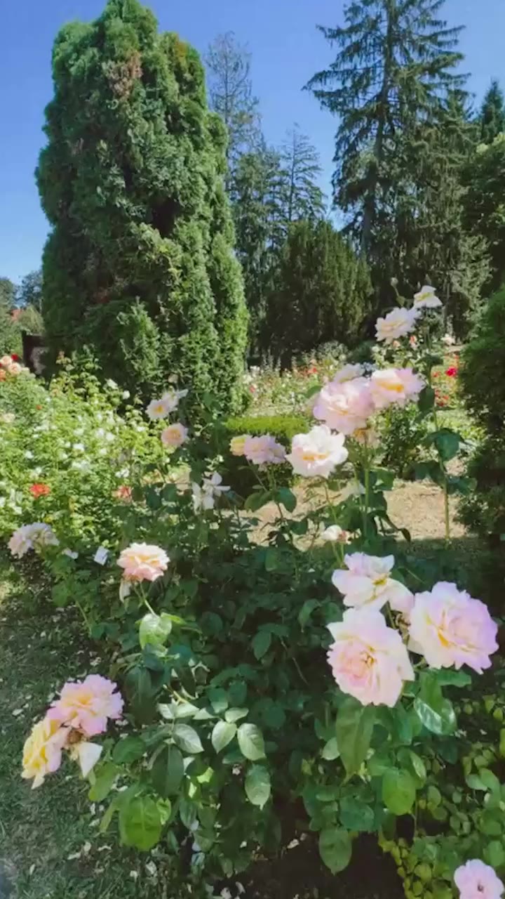 Blooms that fall softly, one after another, in enamel and gold 🌸✨⁠ Summer…