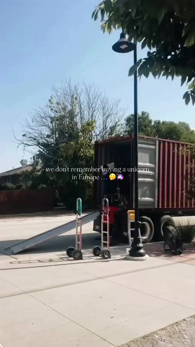 Just your average day unloading a container from Europe. 😂🦄 Guess what’s in…