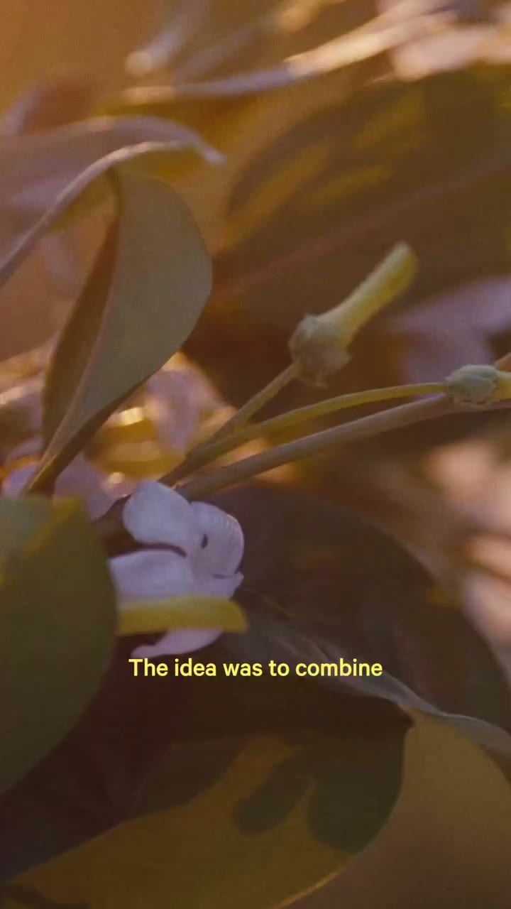 A duo of Grandiflorum Jasmine lends refined beauty to an exceptional…