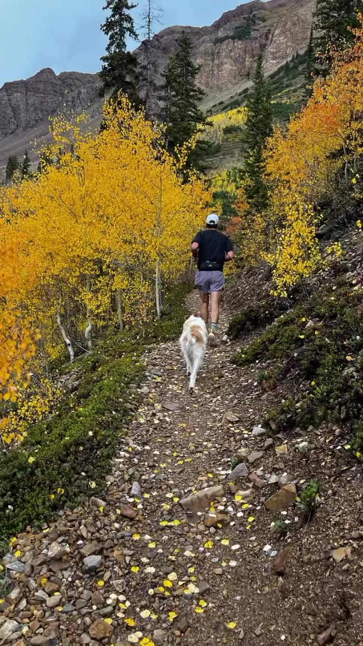 Fall is here and we couldn’t be happier! 🌻🍁⛰️😛