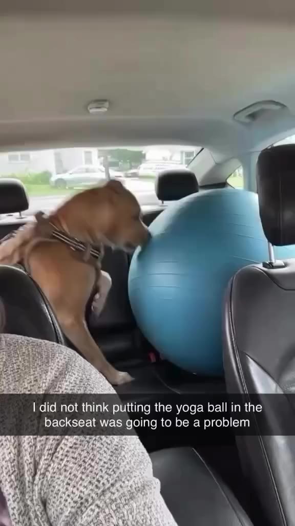 “I do not trust this thing” 😂