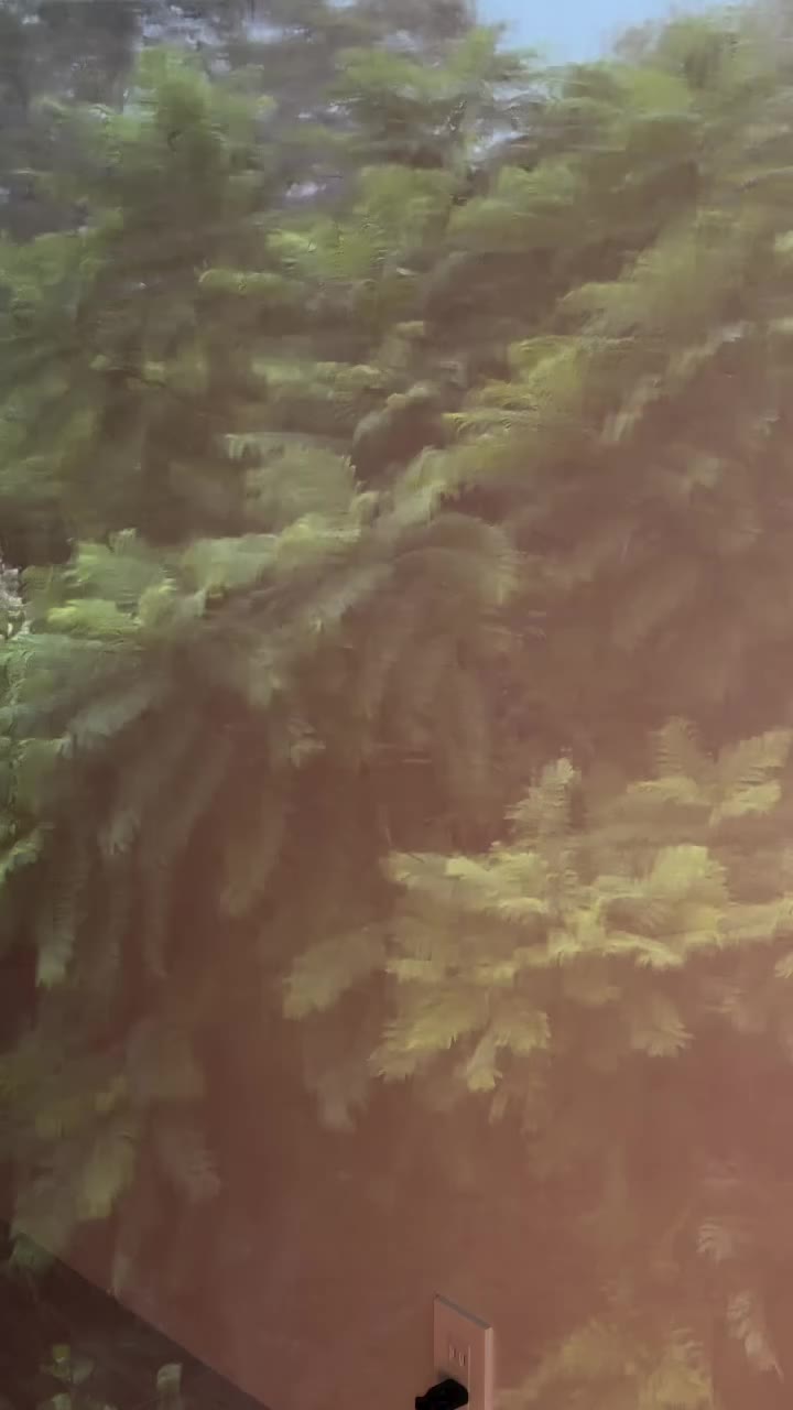 なかなかだな