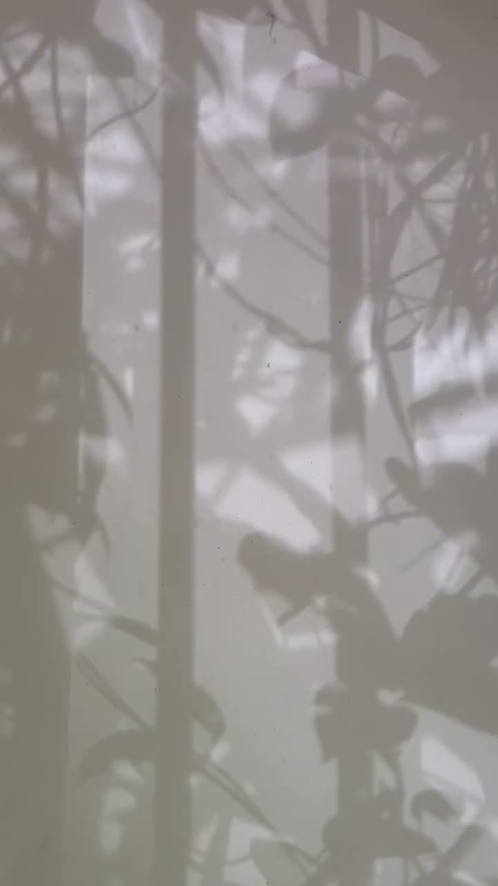 Tropical:: This soul runs on seasons and climates