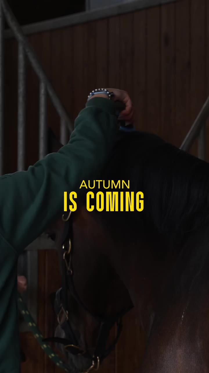 AUTUMN IS COMING 🍂 L'automne s'installe… C'est le moment idéal pour…