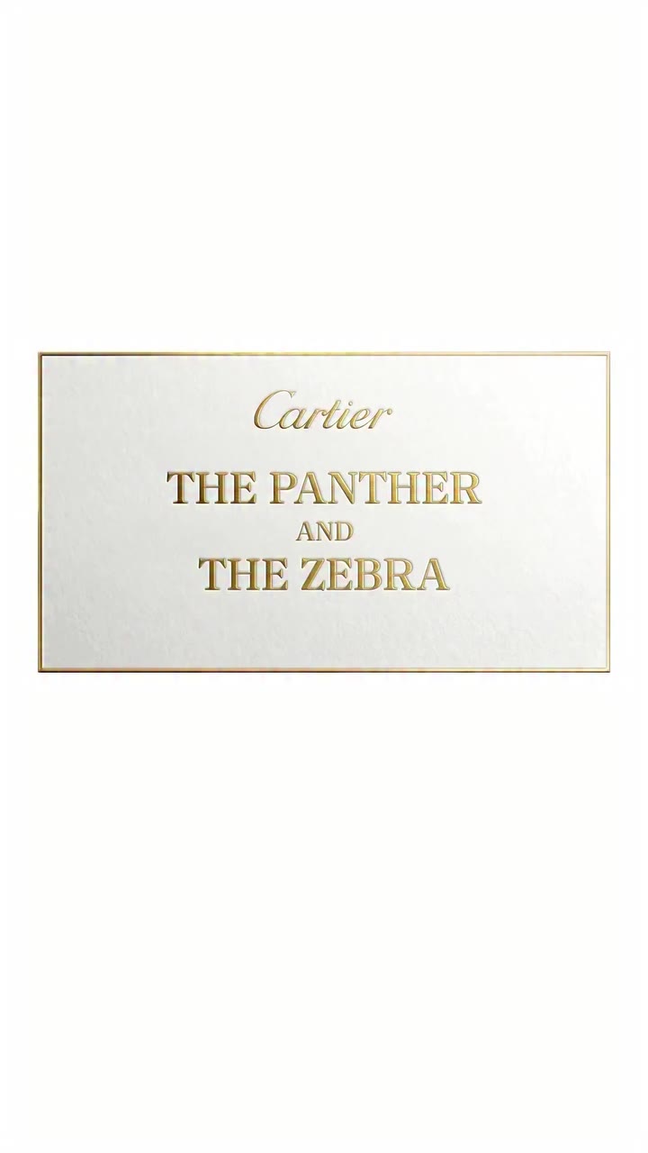 The Panther and The Zebra Stripes and spots make a powerful duo in a wild tale…