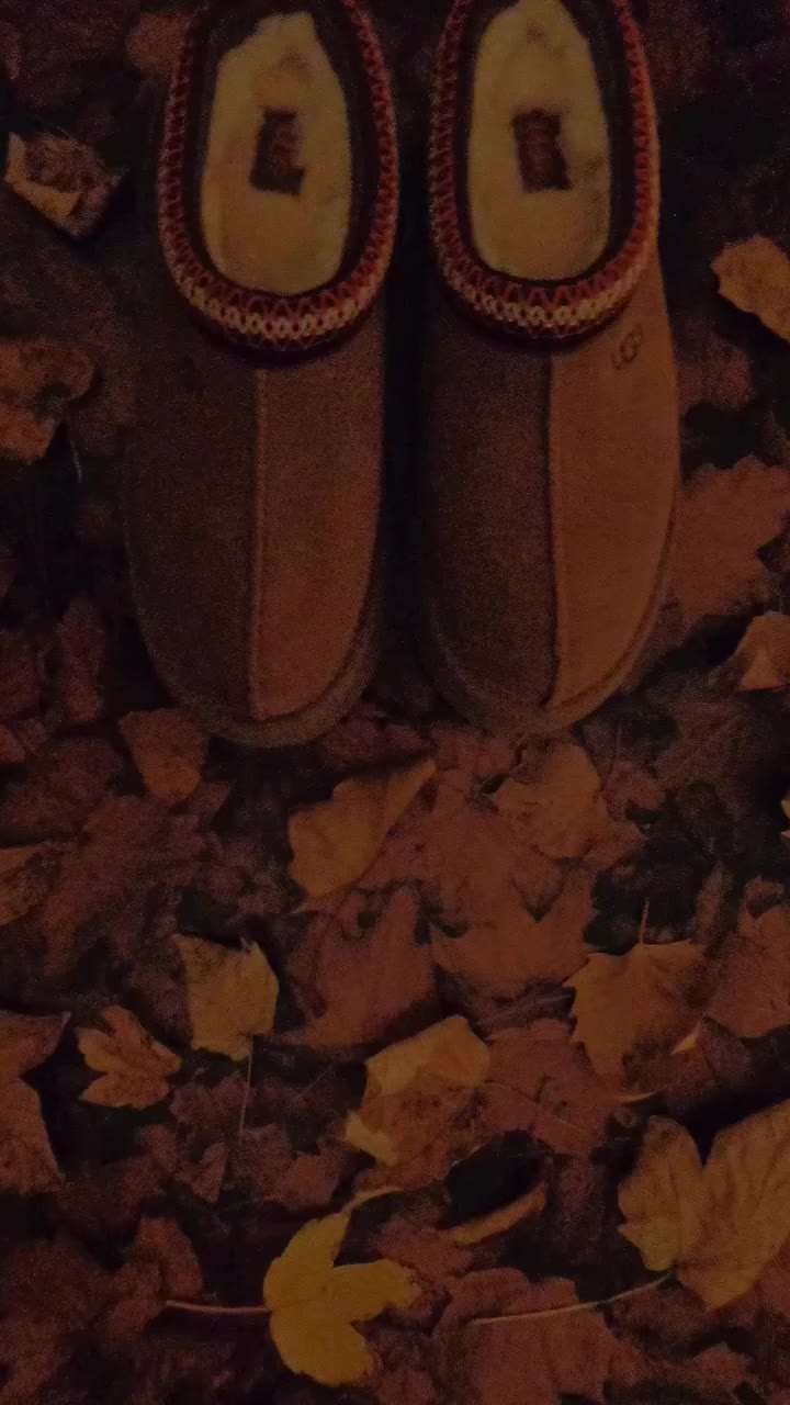 It’s getting pretty cozy out there. 🌰 Video by @kikikikikica #UGG