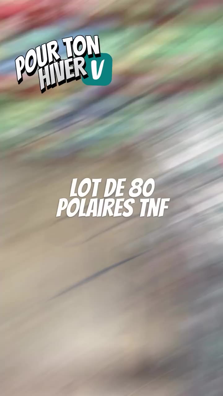 80 POLAIRES THE NORTH FACE Lot actuellement disponible chez Pawpick vintage.