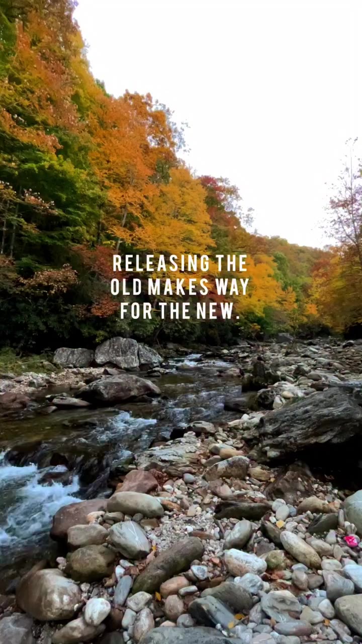 An Autumnal Equinox Reminder (September 22nd) that there’s beauty in releasing…