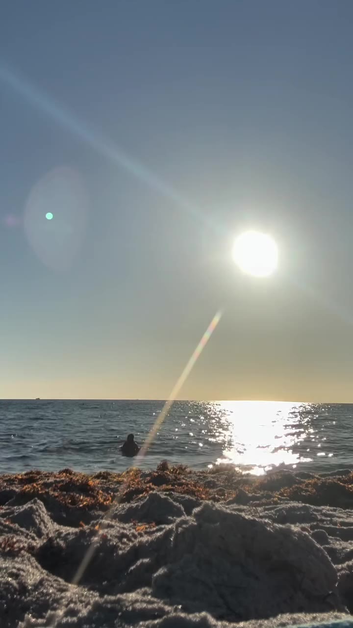Follow the Sun ☀️