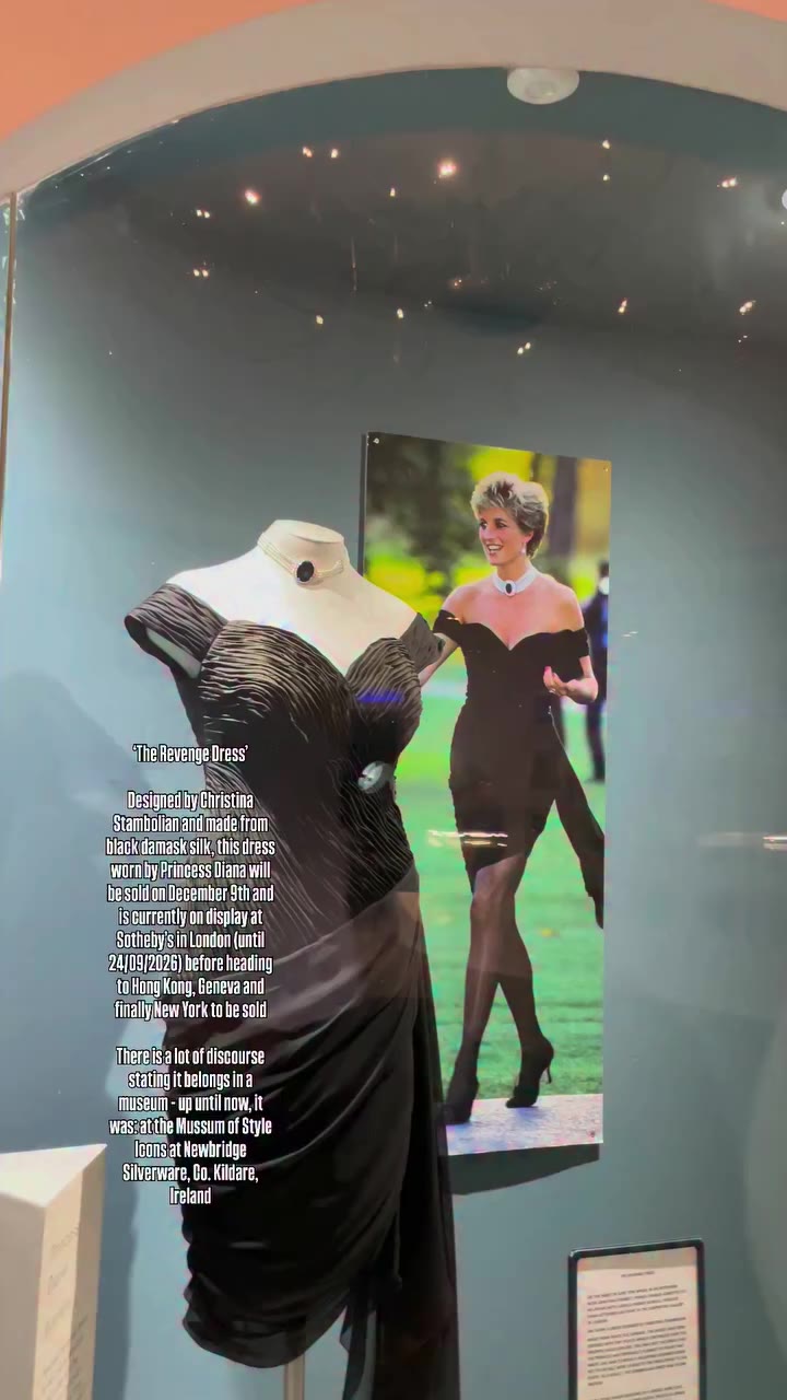 ‘The Revenge Dress belongs in a museum!’ - decries one commenter under the…