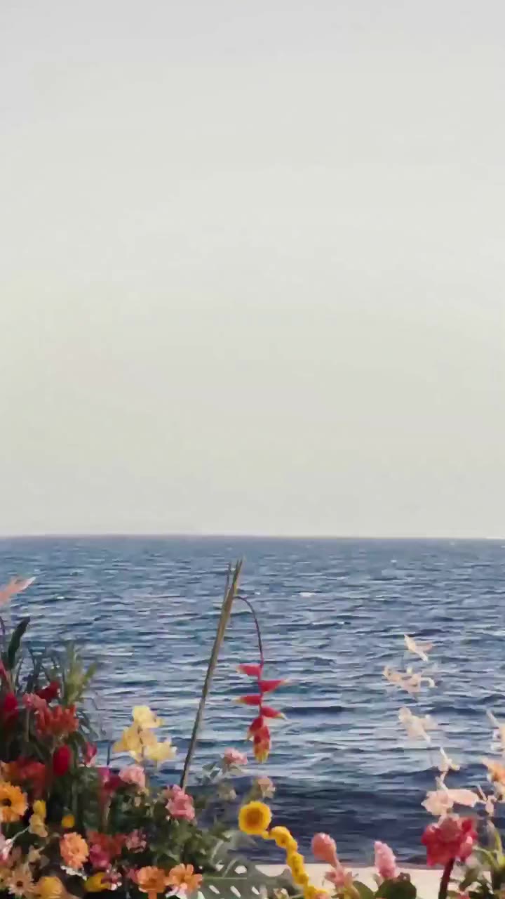 Coming Soon - Spring Feeling