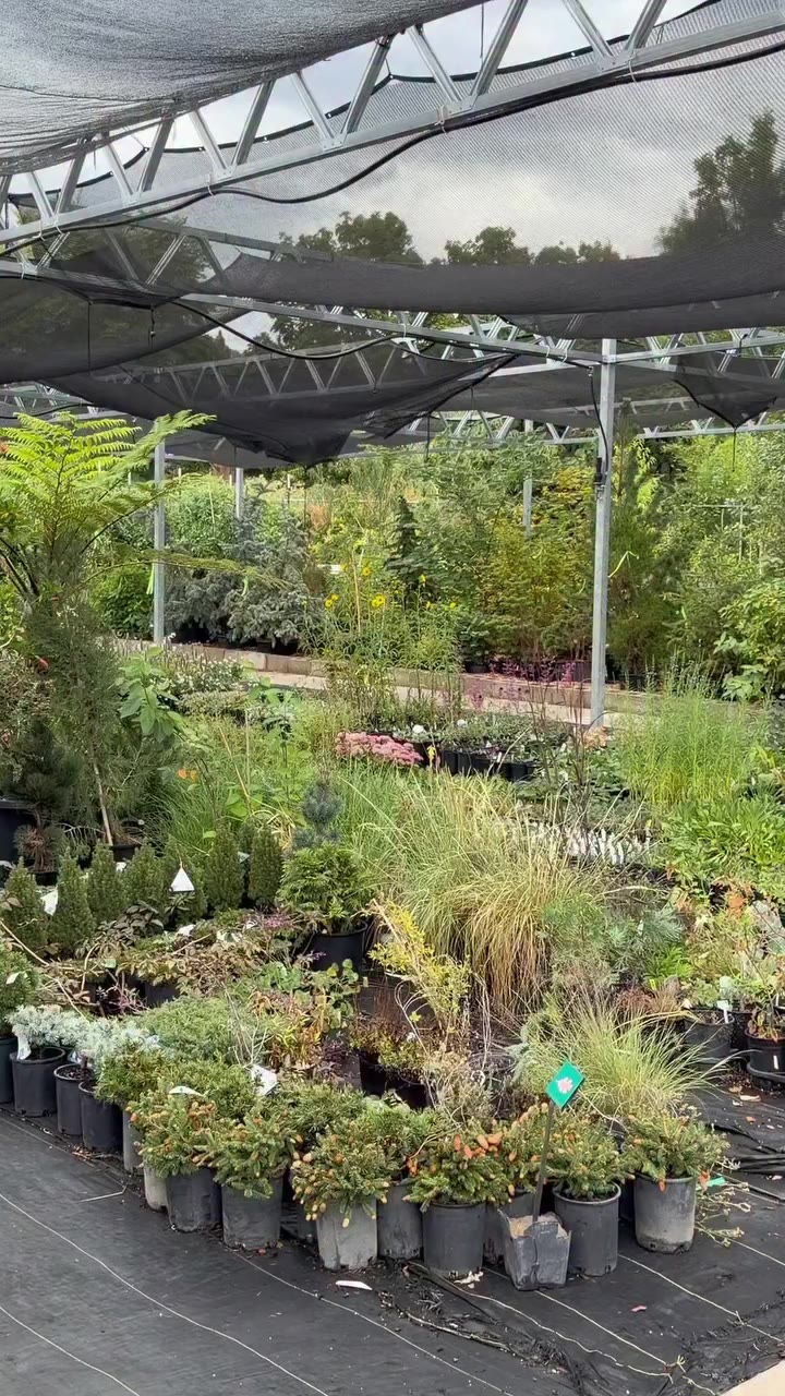 Red Butte garden’s annual Fall Bulb & Native Plant Sale Fundraiser is back…