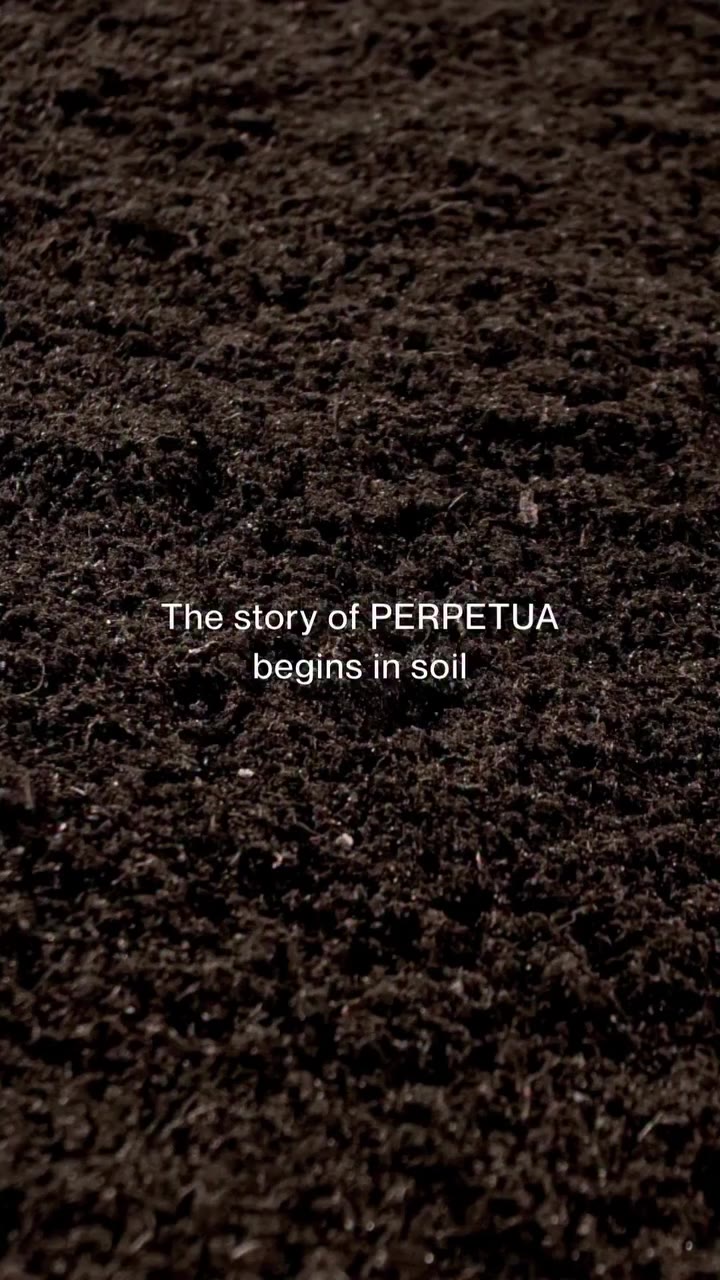 Where life takes root and slowly flourishes into abundance. PERPETUA - Yong…