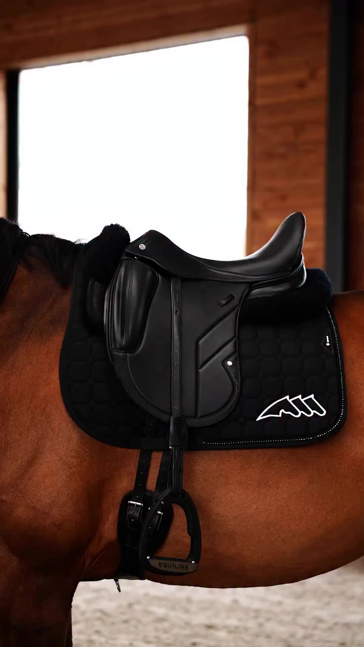 Harmonia saddle. Not just a name. Born from years of experience and close…