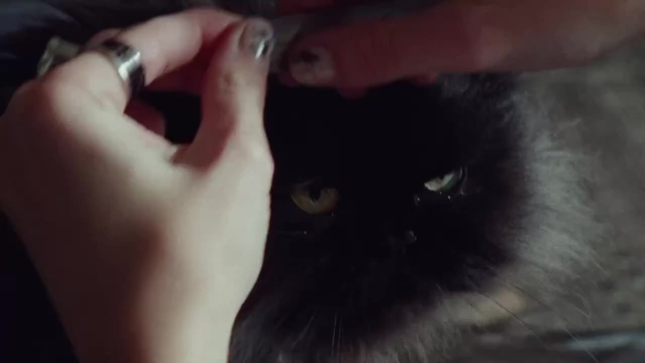Knitty Kitty directed by @alice_kunisue for @Crocs, This is so cool! Style by…