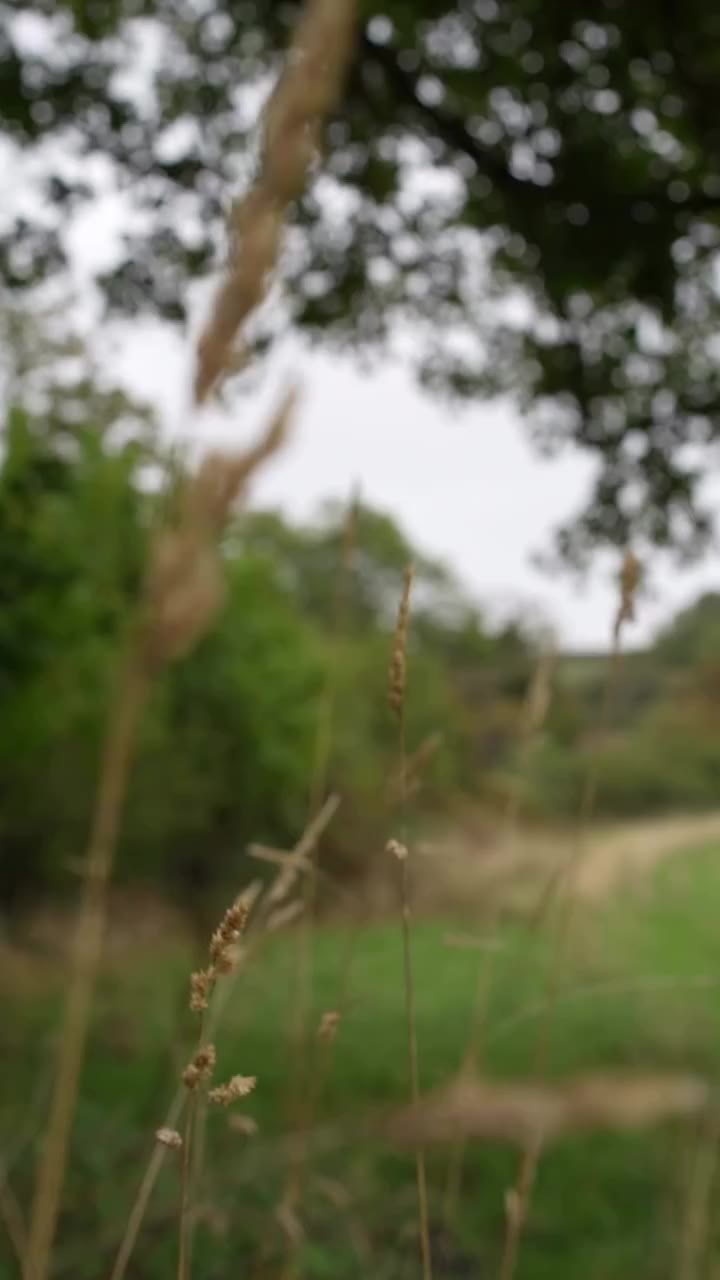 As the leaves turn and fall and the genlte wind blows, it brings with it our…