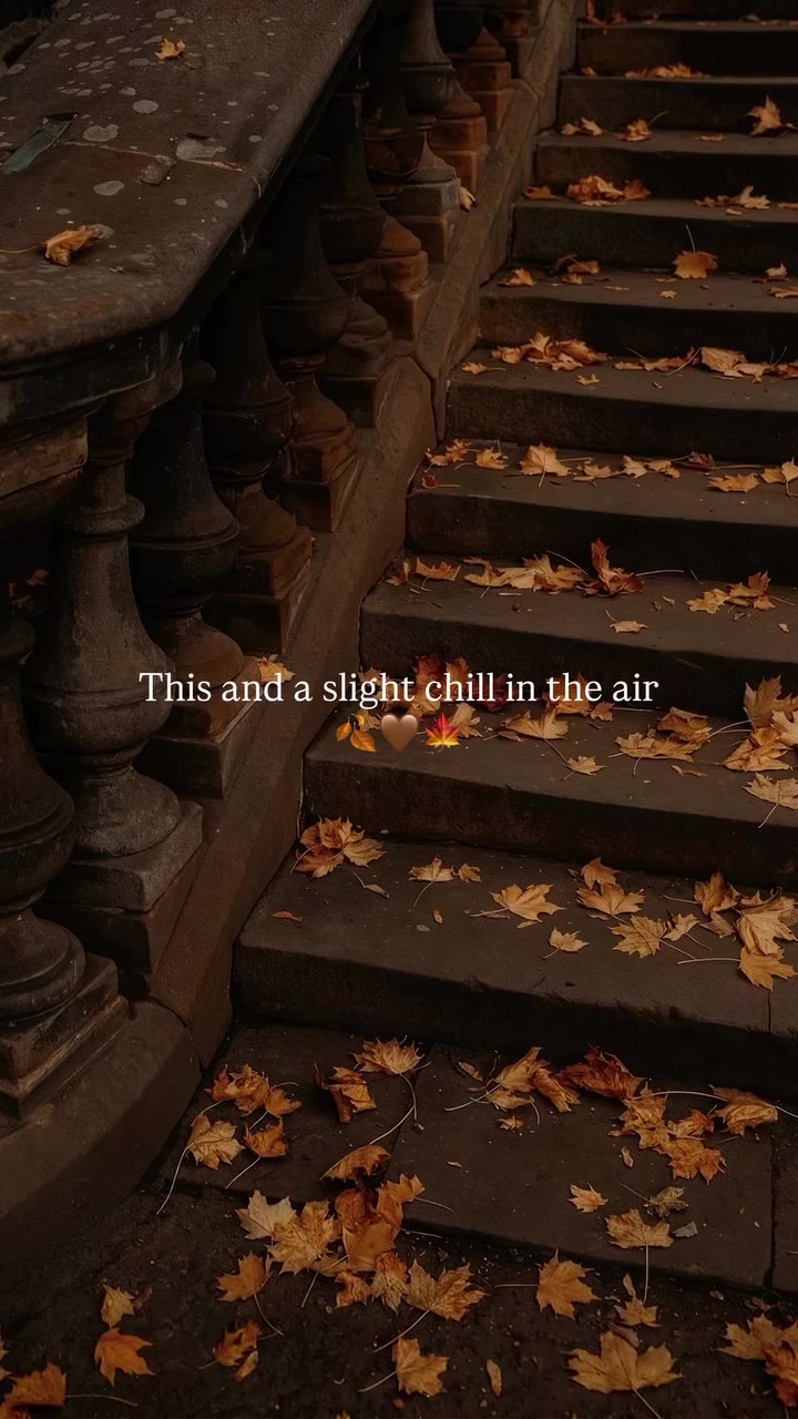 Cozy season holds a special place in our hearts. Happy first day of fall.