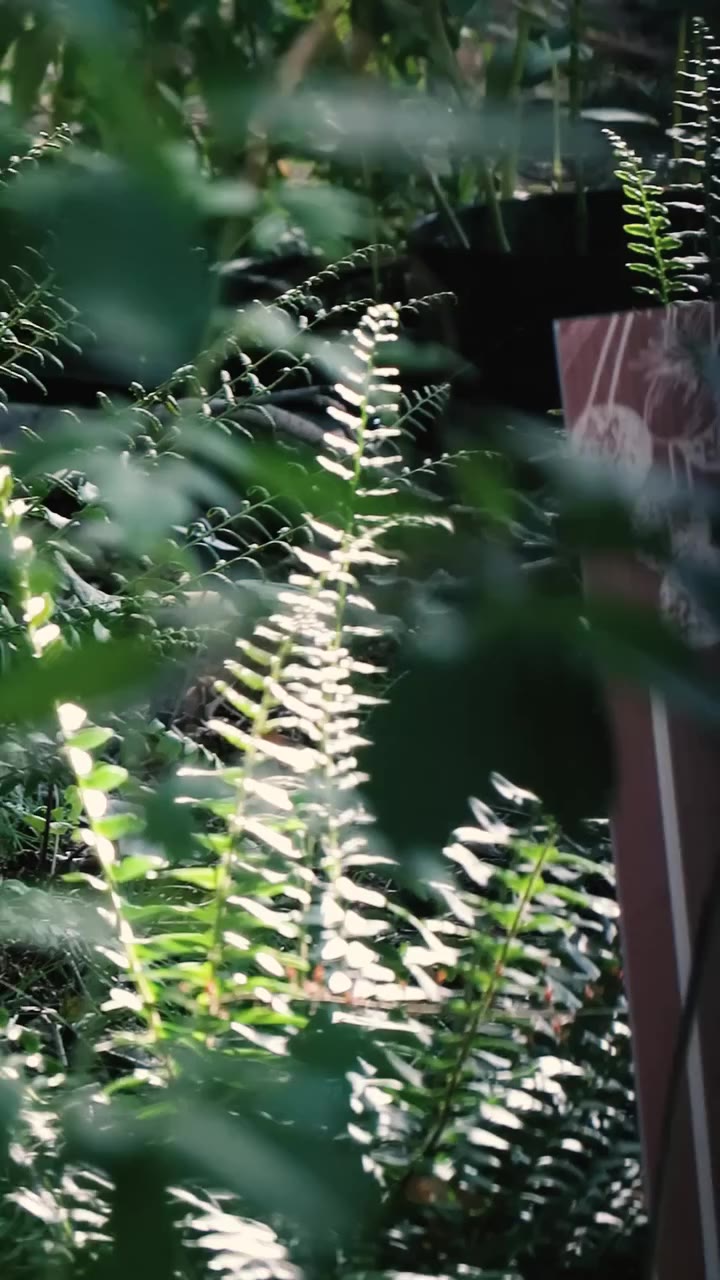 “MOTHER” A SHORT FILM BY DAMIEN NEVA We thought it would be fun to document…