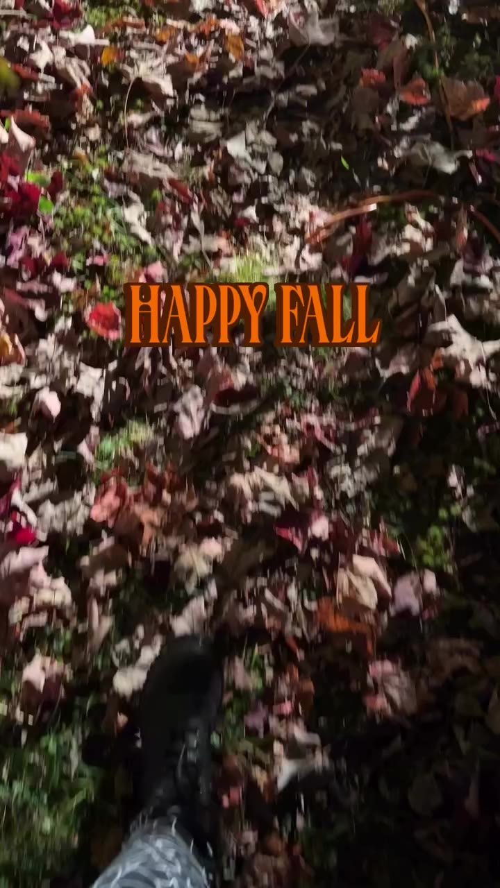 🍂there you are 🧡🦇 Our season is finally here Golden days and crisp…