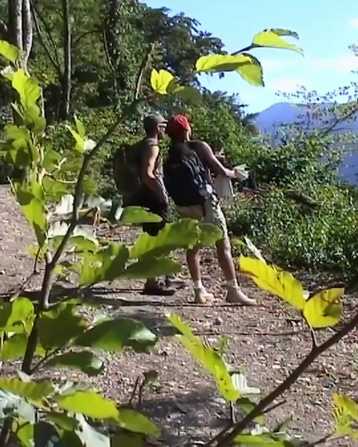Passer du temps dans la forêt réduit le stress. Comme un équipement bien rangé…