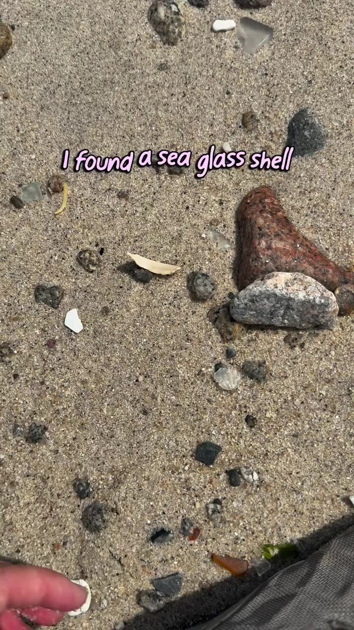 Sea shell or fairy wing? What did I find? #seaglass #seashell #fairywings…