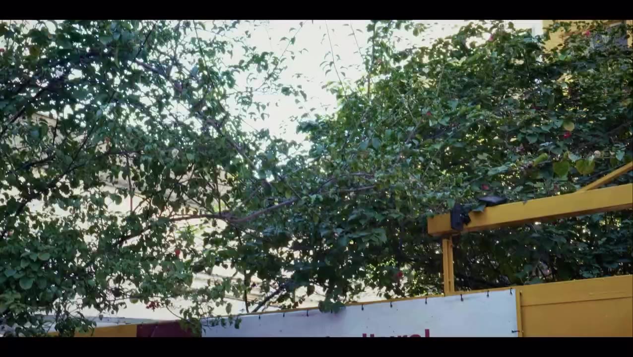 Vai aqui um pequeno spoiler do novo curta-metragem da FOUR MODELS “A ÚLTIMA…