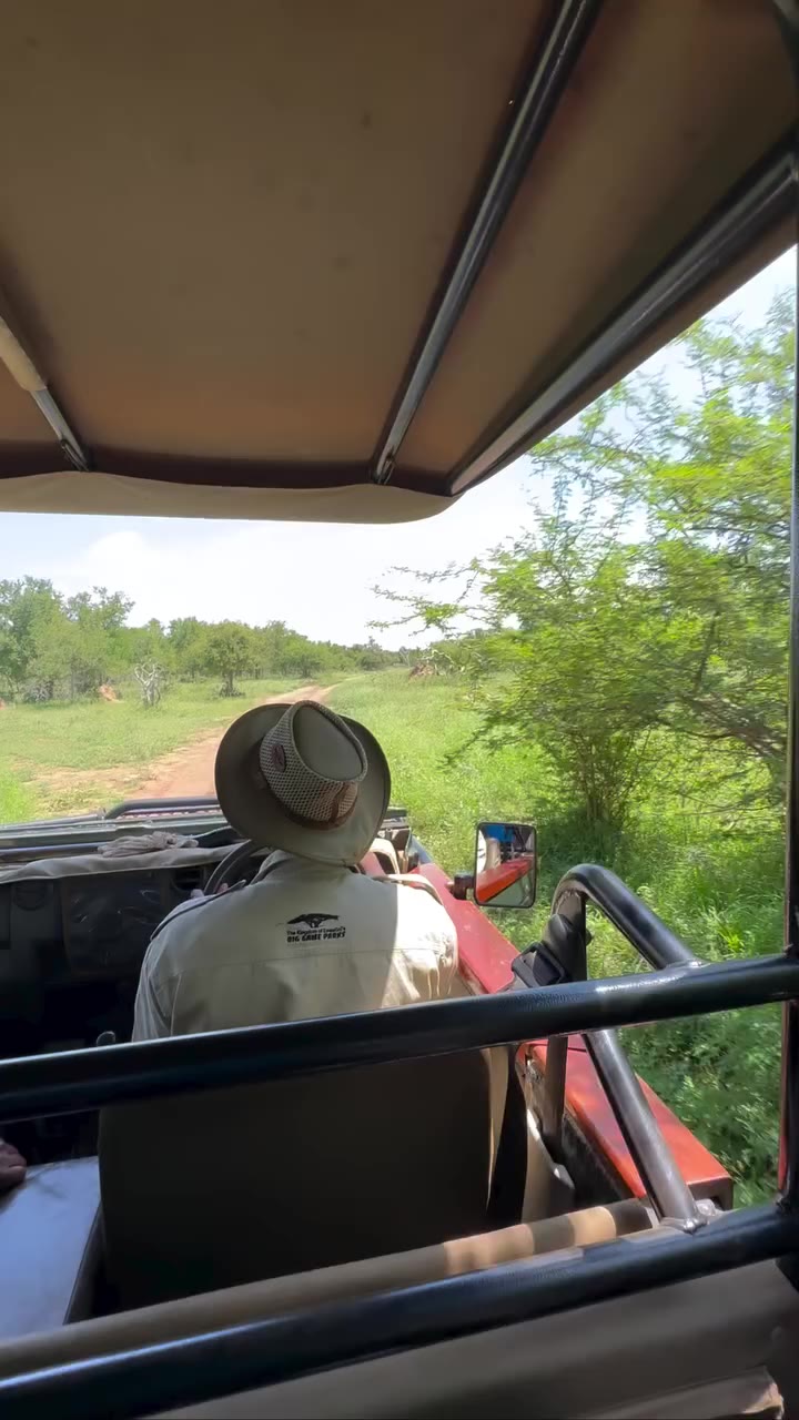 On World Rhino Day, I find myself thinking back to the safaris that gave me…
