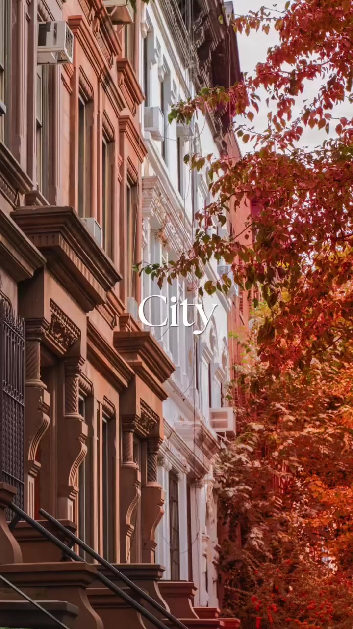 Happy first day of fall! Tap the video to reveal your fall destination 🍁