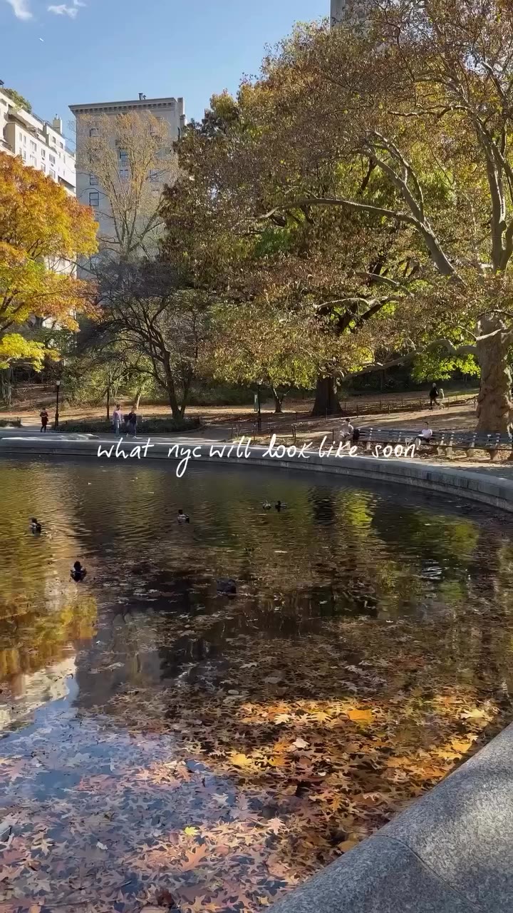 What NYC will look like in a few weeks and I’m not mad about it. Happy Fall…