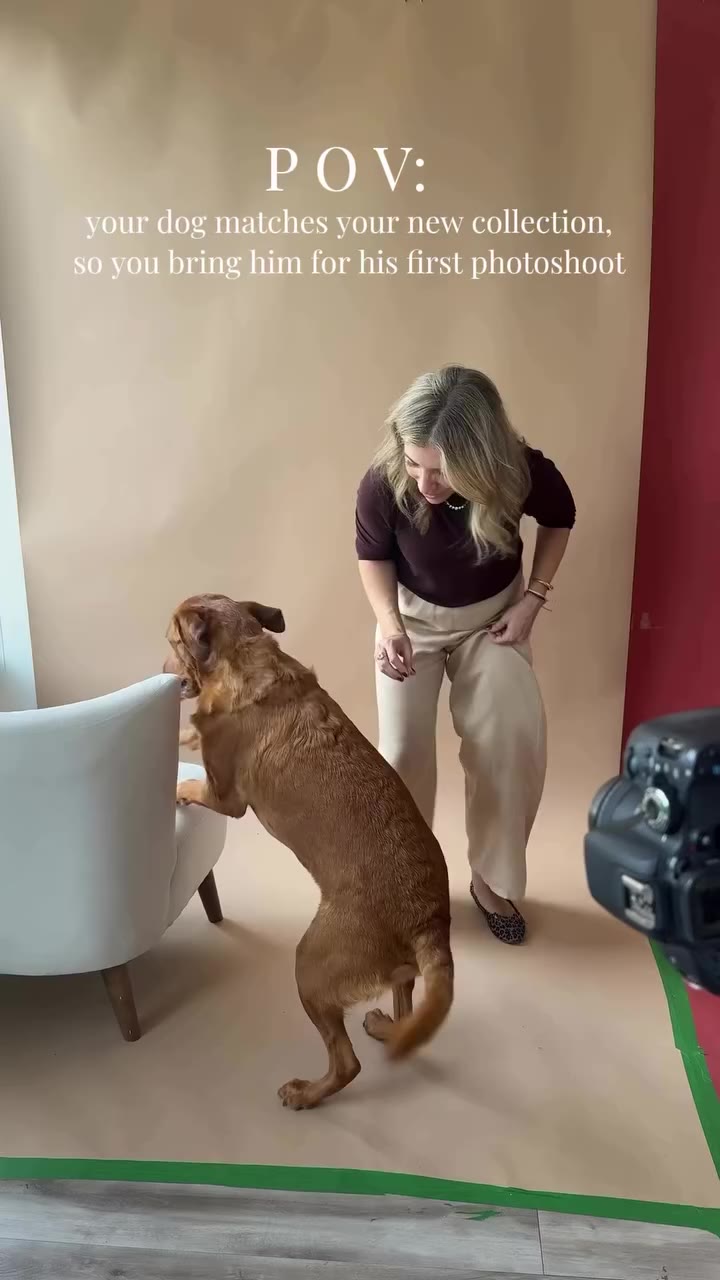 Will work for cuddles and treats 🥰 Naturally, my Redfox Lab, Ridge, nailed…