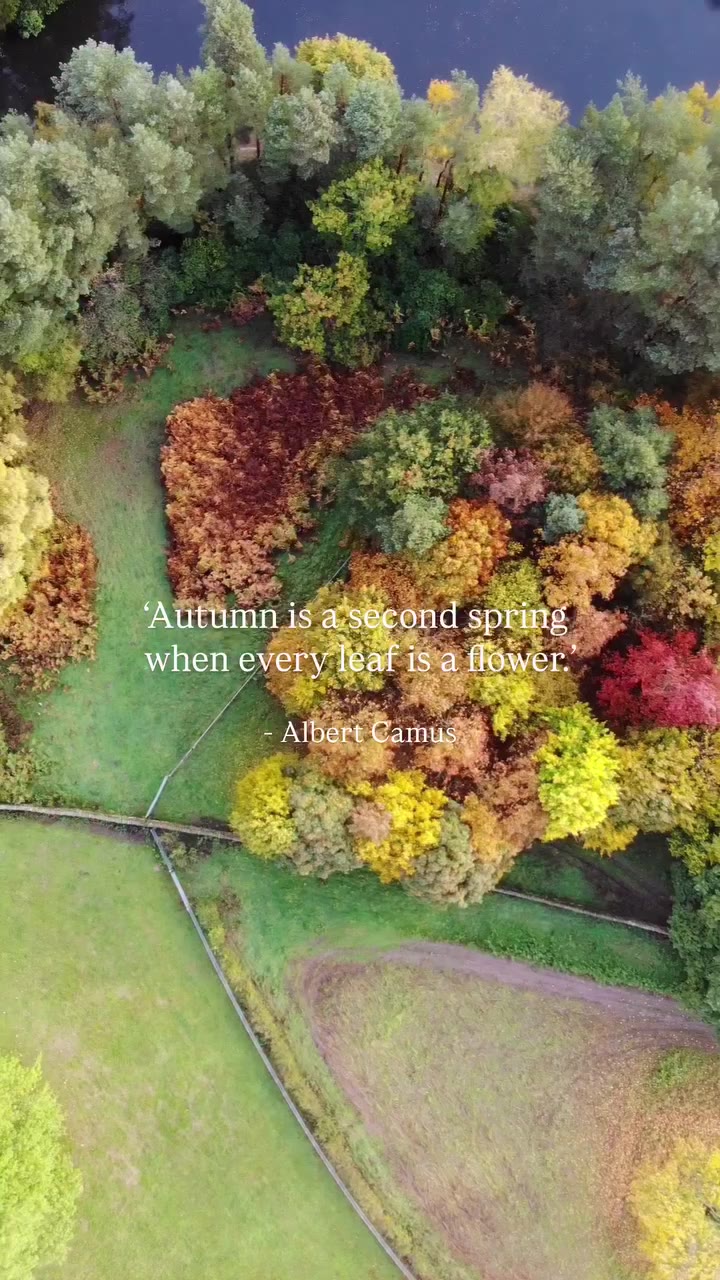 Love this perspective on the trees in Wootton - a landscape that only grows in…