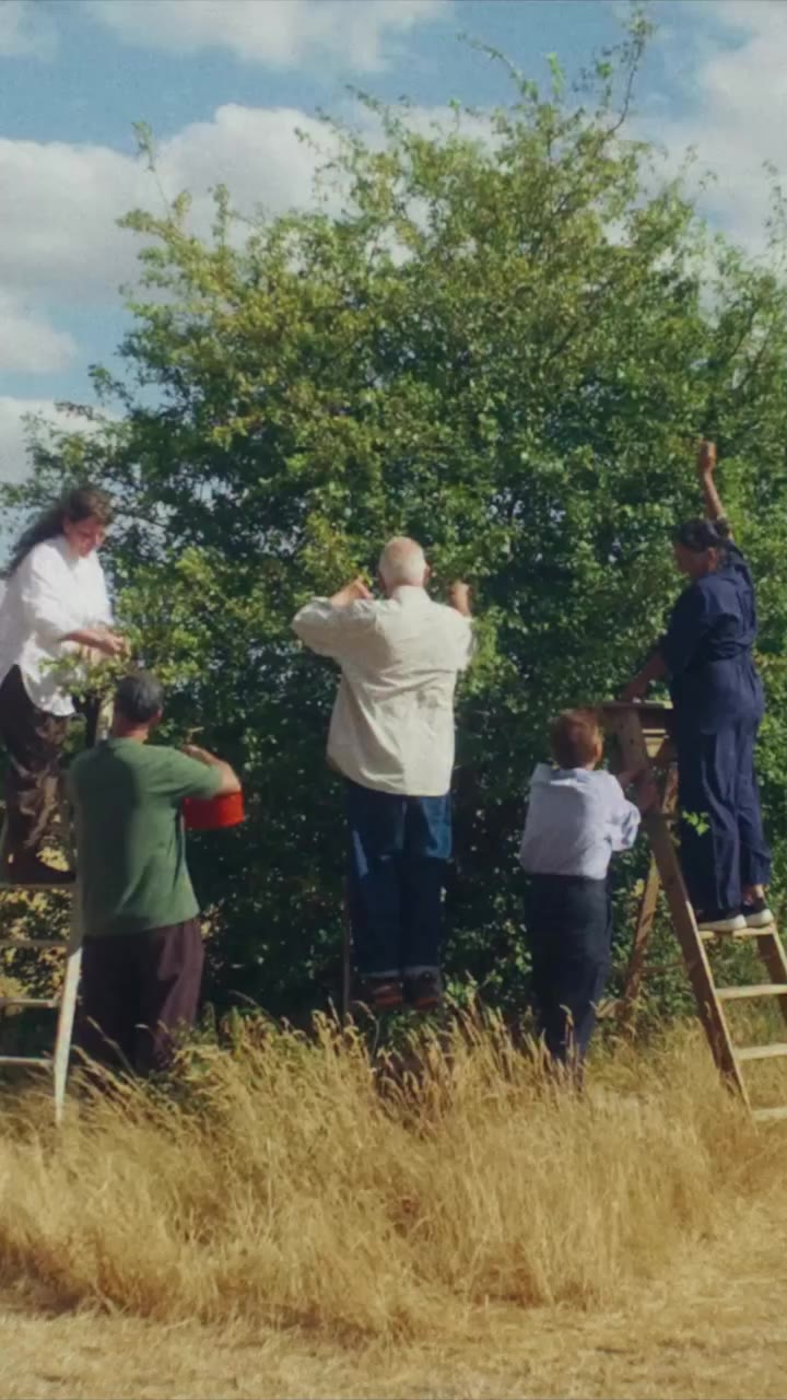 Go Picking As we celebrate the Autumn Equinox, hedgerows and fields come into…