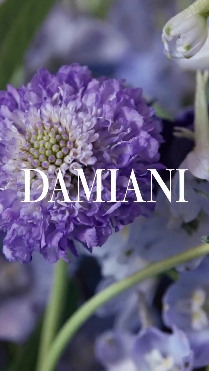 The refined atmosphere portrayed in the Damiani Icons campaign, featuring…