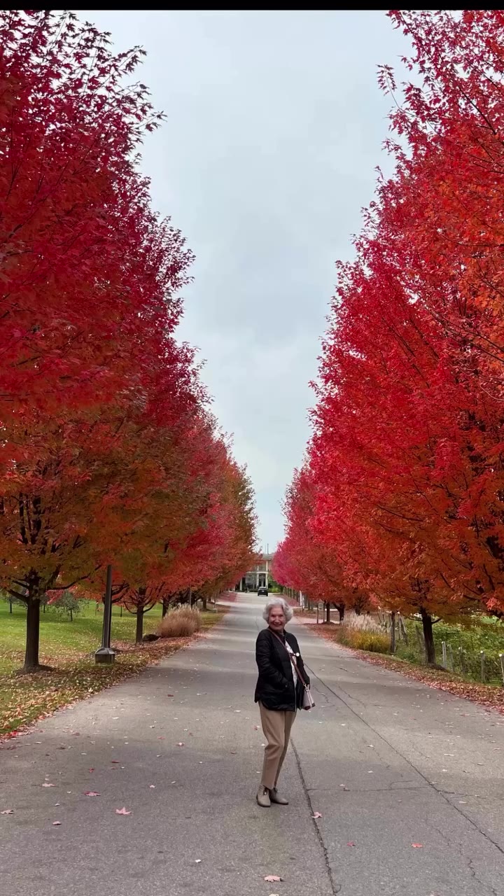 Já é outono. 🍂 E a natureza muda de cor 🍂🍁 #Outono 🍂 #AutumnVibes…