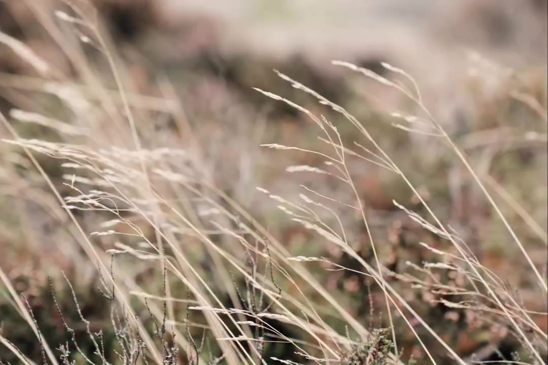 Shot in the Peak District, in the weather it was made for. Our Autumn Winter…