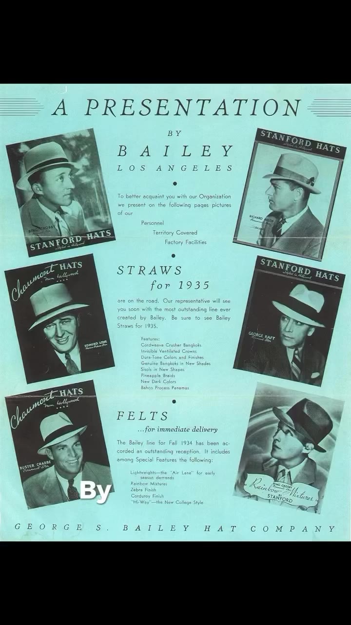 The Bailey Story Three. Pop Culture Rise. #chosen #part3of6